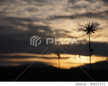 幻想的な空 99652512