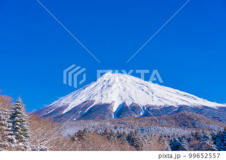 （静岡県）降雪の朝、富士山スカイライン西臼塚駐車場から富士山頂を望む 99652557