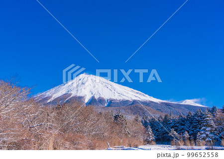(静岡県)降雪の朝、富士山スカイライン西臼塚駐車場から富士山頂を望む (静岡県)降雪の朝、富士山スカイライン西臼塚駐車場から富士山頂を望む 99652558