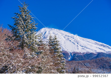 （静岡県）降雪の朝、富士山スカイライン西臼塚駐車場から富士山頂を望む 99652567