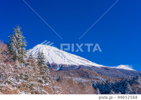 （静岡県）降雪の朝、富士山スカイライン西臼塚駐車場から富士山頂を望む 99652568