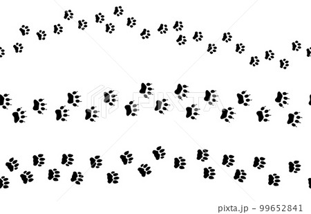 Animal footprints tracks seamless pattern. Cat paws black footprint, various cat, cheetah and tiger track. Decorative kitten elements vector borders 99652841