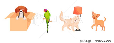 Cartoon adoption pets. Adopted home pet, adoption homeless dogs rescue animal friends from shelter, puppy dog in box, adopt care petting cat and adorable bird vector illustration 99653399