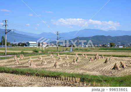 稲刈りが終わった上田電鉄沿線 99653601