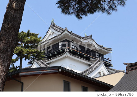 岡崎、岡崎城、岡崎公園、三川、桜、桜祭り、夜さくら、NHK大河ドラマ、徳川家康、松平元康、松本潤 岡崎、岡崎城、岡崎公園、三川、桜、桜祭り、夜さくら、NHK大河ドラマ、徳川家康、松平元康、松本潤 99653796