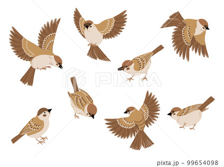 Cartoon Sparrows Icon Set 99654098
