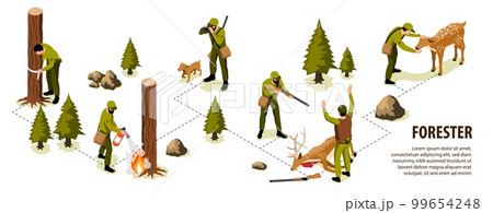 Isometric Forester Infographics 99654248