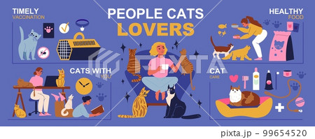 Cats Lovers Infographic Set Cats Lovers Infographic Set 99654520