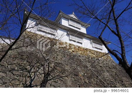 岡山県津山市にあるさくら名所100選のひとつ「鶴山公園（津山城趾）」：備中櫓 99654601