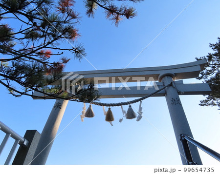 土佐の高土佐の高知の桂浜の竜王岬に鎮座する竜王宮、海津見神社、わたつみ神社の鳥居 99654735
