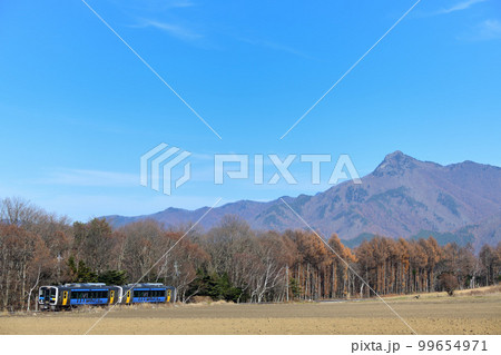 冬枯れの木立を行く小海線のローカル列車 99654971