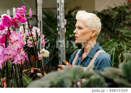 Handsome female florist watching on flowers. Senior worker takes flowers 99655304