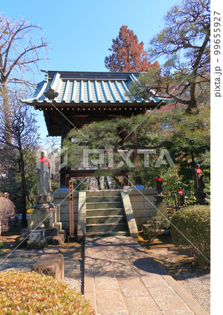 西澄寺　本堂と梅 99655927