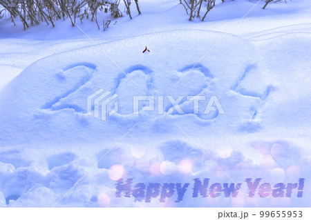 The inscription 2024 on deep snow on a sunny winter day for the calendar 99655953