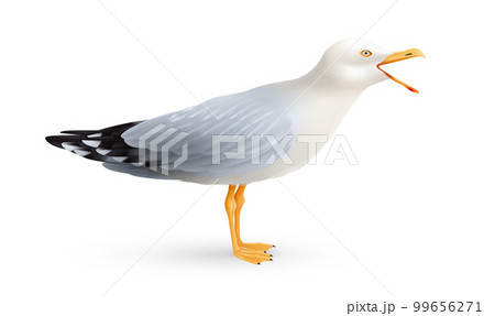 Crying Seagull Realistic Composition 99656271