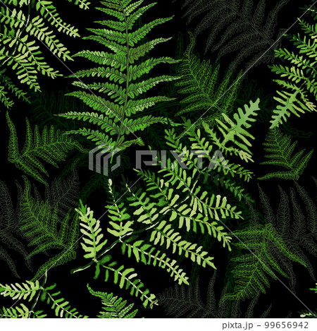Seamless floral pattern in vintage style on a dark background. Leaves and plants. Botanical illustration. Fern seamless background. Vector illustration Seamless floral pattern in vintage style on a dark background. Leaves and plants. Botanical illustration. Fern seamless background. Vector illustration 99656942