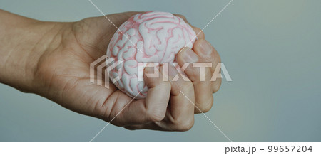 squeezing a fake brain, web banner format squeezing a fake brain, web banner format 99657204
