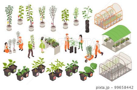 Isometric Nursery Garden Set 99658442