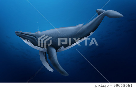 Whale At Depth Realistic Composition 99658661