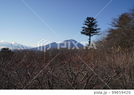 長野県　軽井沢町　旧軽井沢　群馬県長野県県境　碓氷峠　見晴台から浅間山方面　　2022年12月8日 99659420