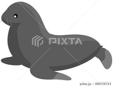 ミナミアメリカオットセイ 99659543