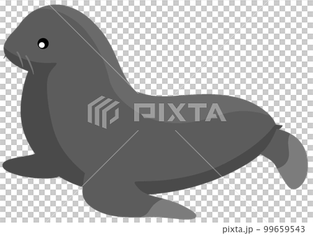 ミナミアメリカオットセイ 99659543