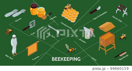 Beekeeping Isometric Infographics Beekeeping Isometric Infographics 99660159