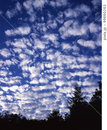 秋の雲 秋の雲 99660263