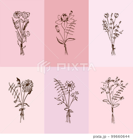 Botanical drawing. Minimal plant logo, meadow greenery, leaves and flowers abstract sketch collection, linear rustic branch. Vector hand drawn wedding invitation bouquet decoration set 99660644