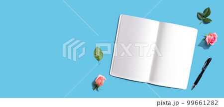 Blank open notebook with a pen from above 99661282