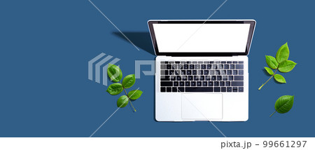 Laptop computer with green leaves 99661297