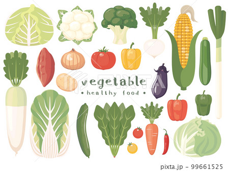 野菜セット 99661525