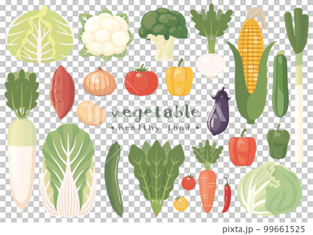 vegetable set 99661525