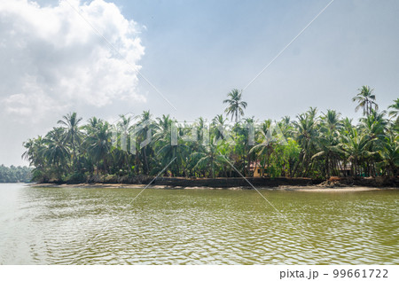 Backwaters of Kemmanu delta Backwaters of Kemmanu delta 99661722