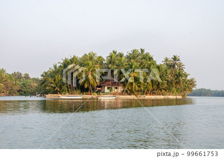 Backwaters of Kemmanu delta 99661753