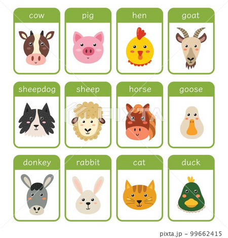 Farm animals flashcards set. Educational flash card with cute farm characters Farm animals flashcards set. Educational flash card with cute farm characters 99662415