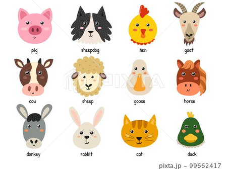 Cute farm animal faces for baby and children design. Funny heads of farm characters 99662417
