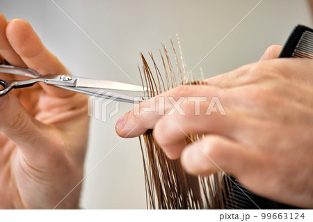 Professional male hairdresser cutting female hair in salon Professional male hairdresser cutting female hair in salon 99663124