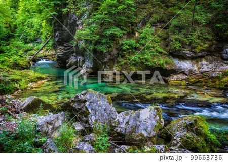 Radovna River Landscape In Slovenia Radovna River Landscape In Slovenia 99663736