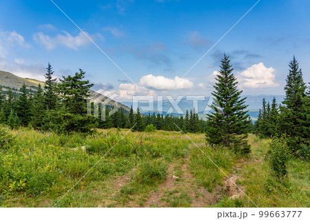 Forests and mountains of the Southern Urals near the village of Tyulyuk in Russia. Drone view. Forests and mountains of the Southern Urals near the village of Tyulyuk in Russia. Drone view. 99663777