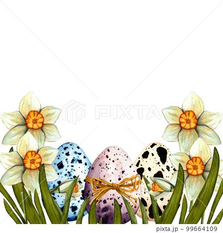 Watercolor border easter with daffodil and colored eggs. Spring hand drawn illustration isolated on white background. Watercolor border easter with daffodil and colored eggs. Spring hand drawn illustration isolated on white background. 99664109