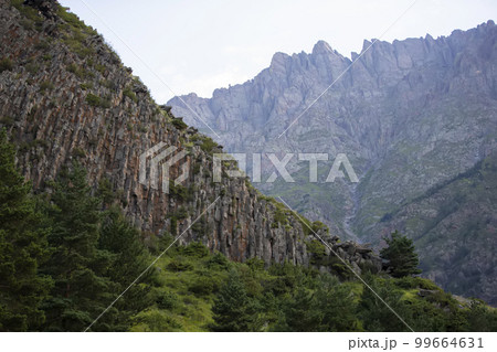 Green spruce on the background of the rocky mountains of Georgia. Green spruce on the background of the rocky mountains of Georgia. 99664631