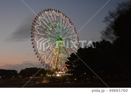 夕暮れ時の葛西臨海公園2　夜の観覧車　ライトアップ 99665760