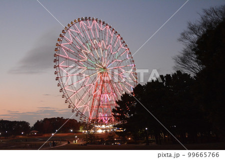 夕暮れ時の葛西臨海公園3 夜の観覧車 ライトアップ 夕暮れ時の葛西臨海公園3 夜の観覧車 ライトアップ 99665766