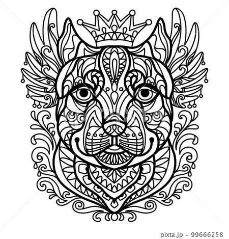 Coloring book page pitbull dog vector illustration Coloring book page pitbull dog vector illustration 99666258