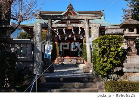 白鬚神社 墨田区東向島 99666528