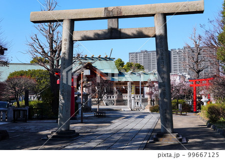 石浜神社 東京都荒川区南千住 石浜神社 東京都荒川区南千住 99667125