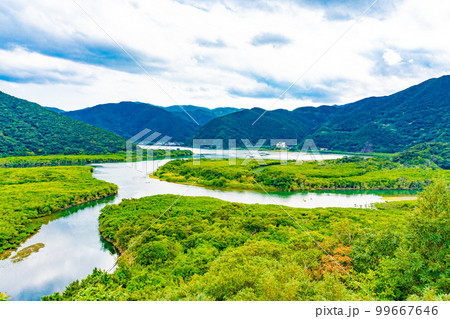 奄美大島のマングローブ林 奄美大島のマングローブ林 99667646