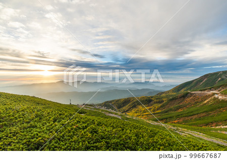 乗鞍・畳平の朝 99667687