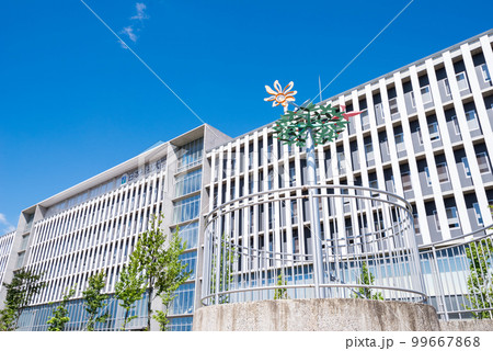 【大田公園】広場と大学の見える風景 99667868